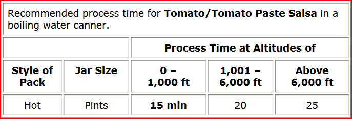 tomato paste salsa recipe process chart